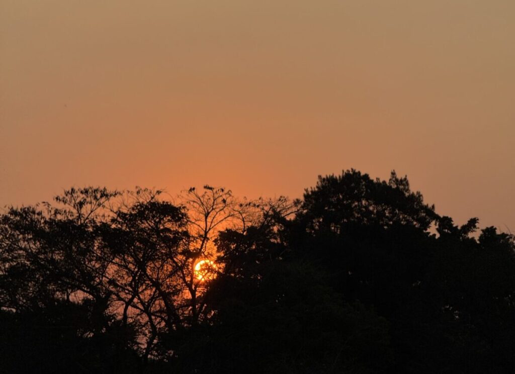 African Sunset